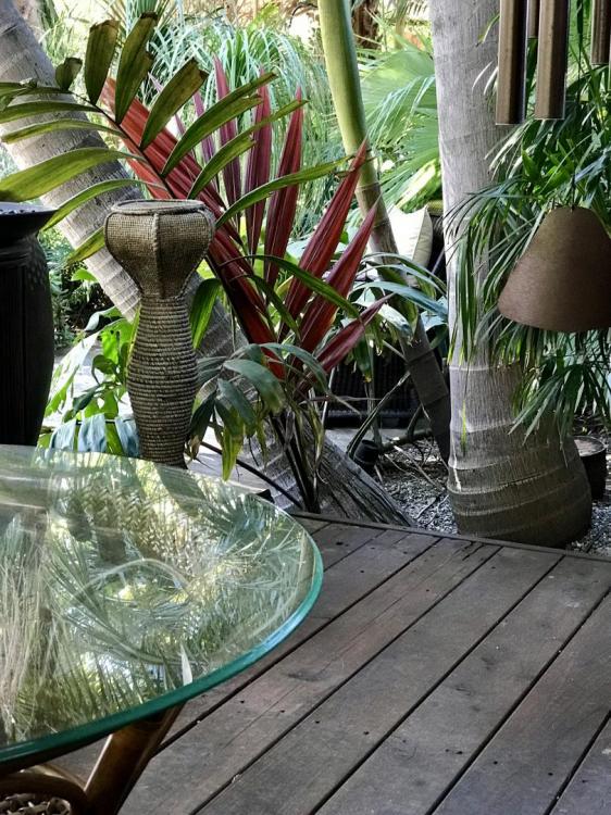 IMG_2141.thumb.JPG.0311c1bcbb0ab1b3a93a6