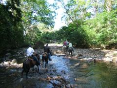 Equestrian grupo rio.jpg