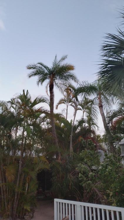 20170407_071212.jpg.7bdccbb547c06a850b7a