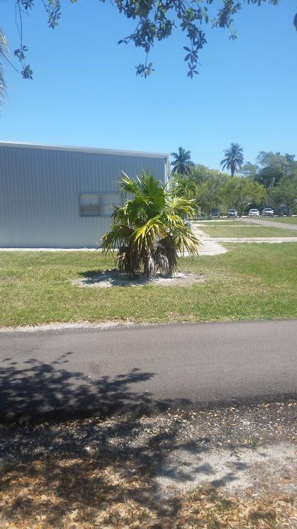 20170408_115715.jpg.963db6df1a3c9f402bde
