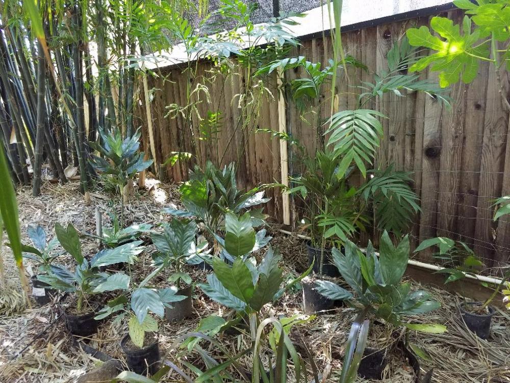 20170430_132729_resized_1.thumb.jpg.08a2