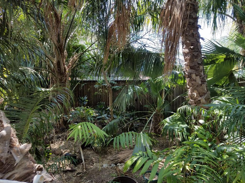 What would you like to see here? Staging an area to be planted