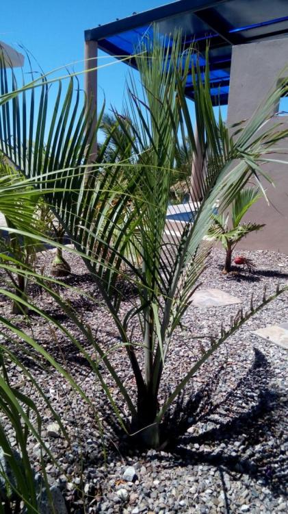 IMG_20170430_104846.jpg