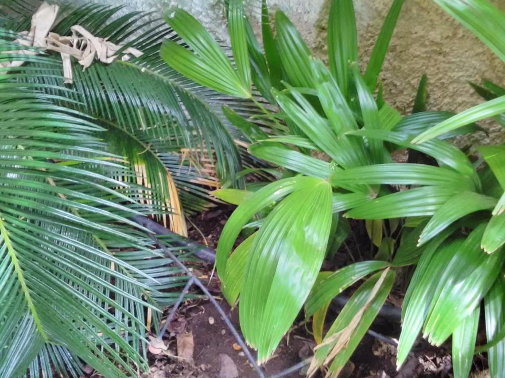 IMG_20170430_132422.thumb.jpg.a2925f36f3