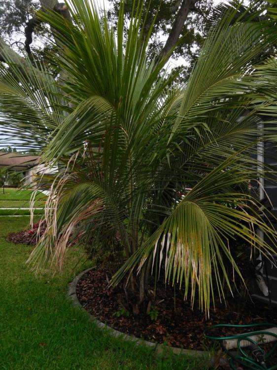 DSCN1659.JPG