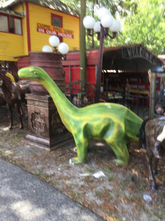 IMG_0346.thumb.JPG.eee441ce06d1742d8e997