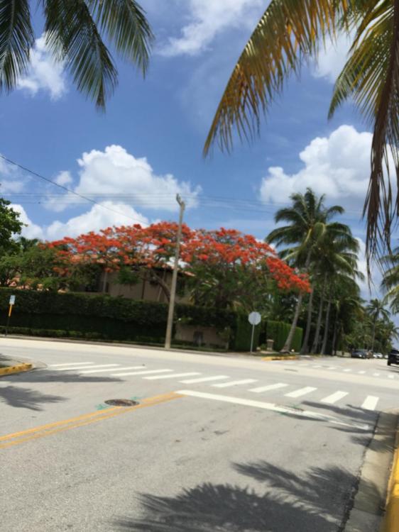 IMG_0664.thumb.JPG.0743742334ecc0a985f10