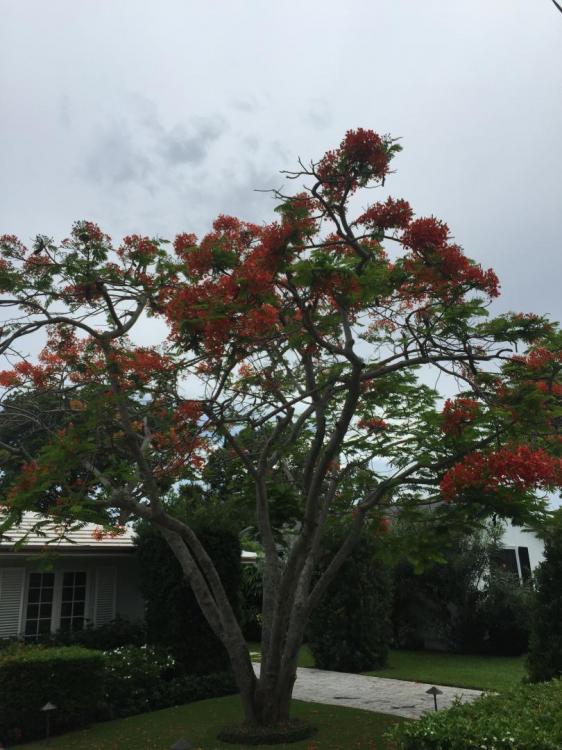 IMG_0803.thumb.JPG.7186320d8fb3baff4a39a