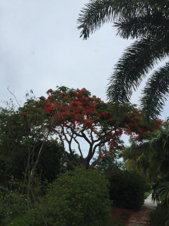 IMG_0818.thumb.JPG.88fc89a92677e04488f4e