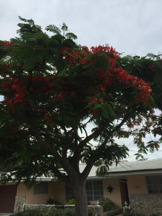 IMG_0821.thumb.JPG.6c0c1869caeb49db6248b