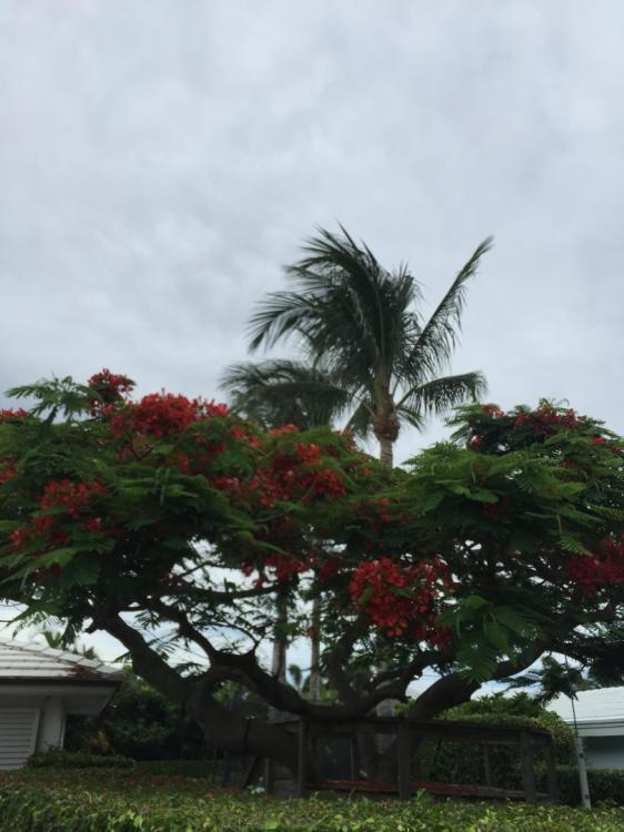 IMG_0822.thumb.JPG.3d4ff1d34ab5fac69af97