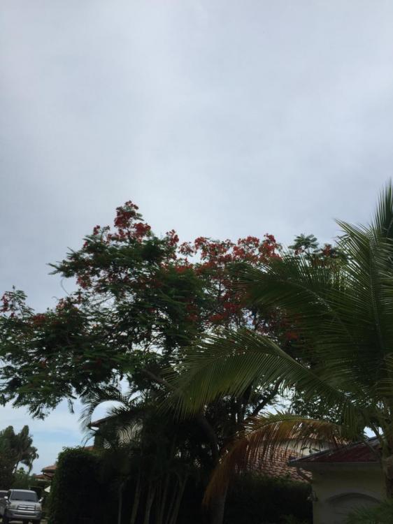 IMG_0824.thumb.JPG.a1aac17ce73e4f1e85e63