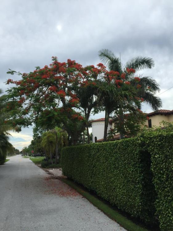 IMG_0825.thumb.JPG.c5de44583466293af70b3