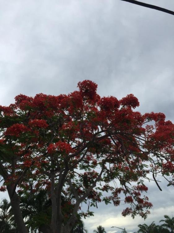 IMG_0827.thumb.JPG.8bb8c2067e0ebcea77270