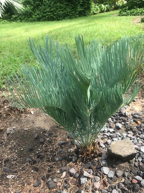 IMG_0885.JPG.91844e1762cef0c922112fcb1ac