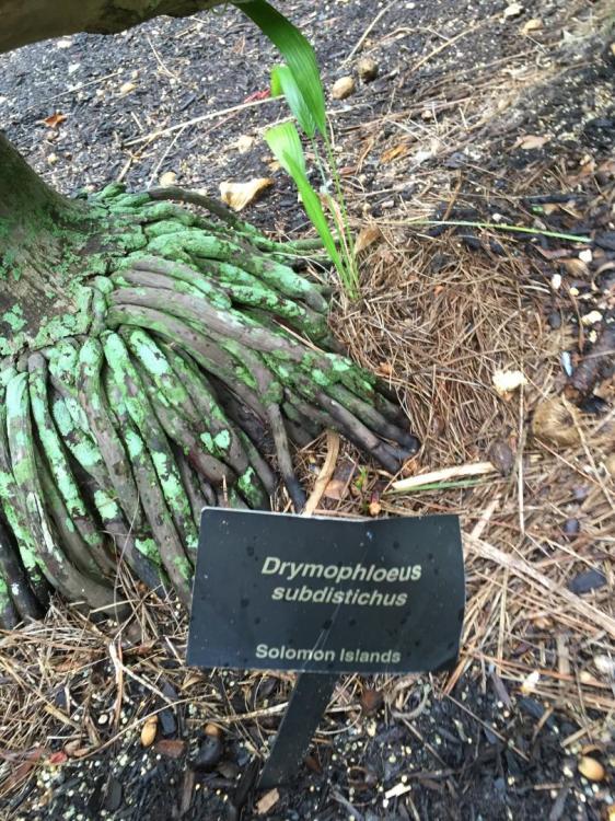 IMG_0928.thumb.JPG.3692df6e1b36e68c56403