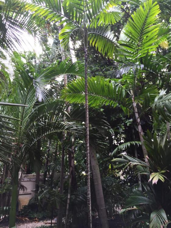 IMG_0929.thumb.JPG.390052bdfbb46465ba41c