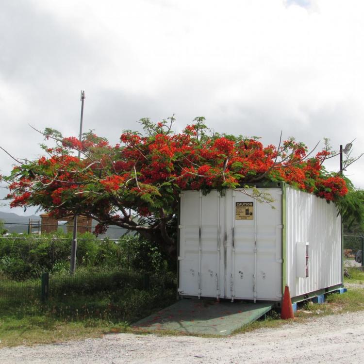 IMG_9867.thumb.JPG.5639aec099089bb77121f