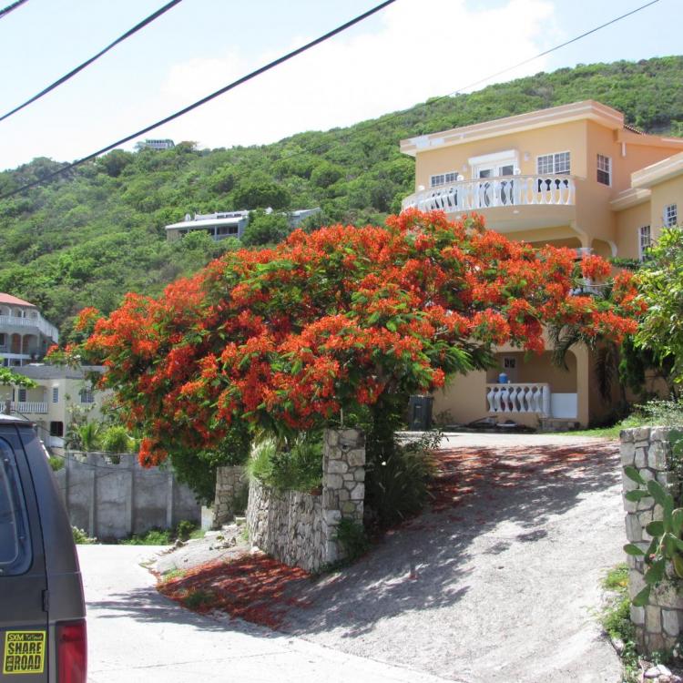 IMG_9916.thumb.JPG.61030419551f1640b365f