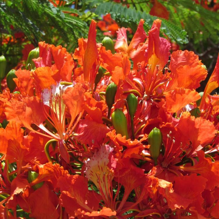 IMG_9920.thumb.JPG.f69140a9b90dd82841477