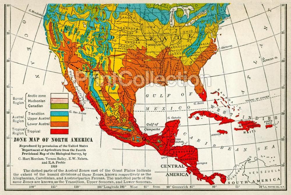 Map-MerriamLifeZone_BirdMigration.jpeg