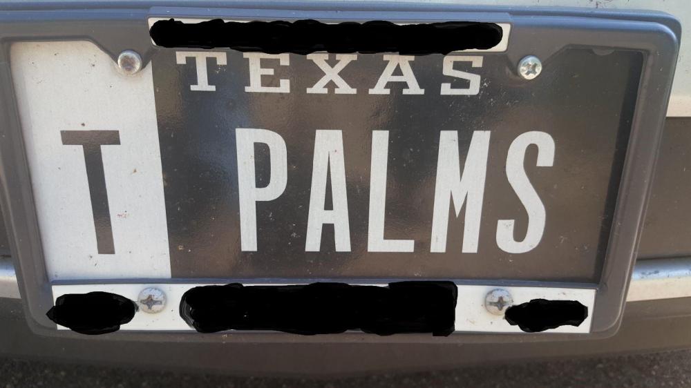 tpalms.jpg