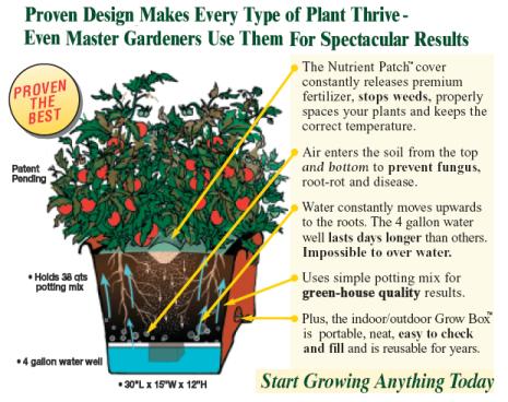 GrowBox.jpg.759838c20286828df73a0d809e1e