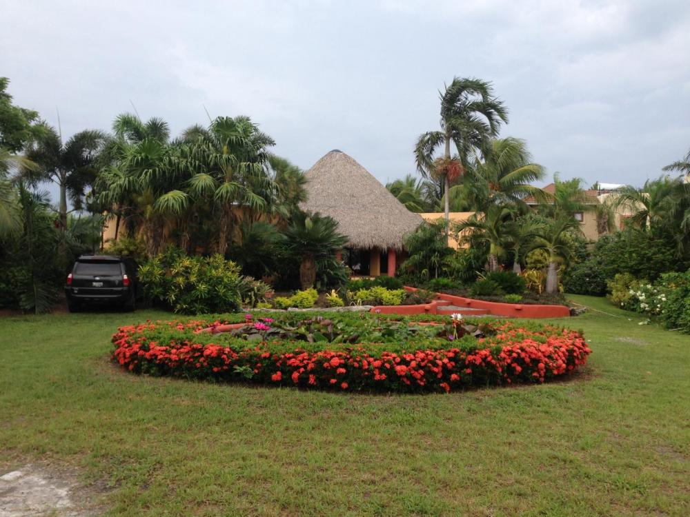 IMG_0168.thumb.JPG.98bc1edd41b05c955af59