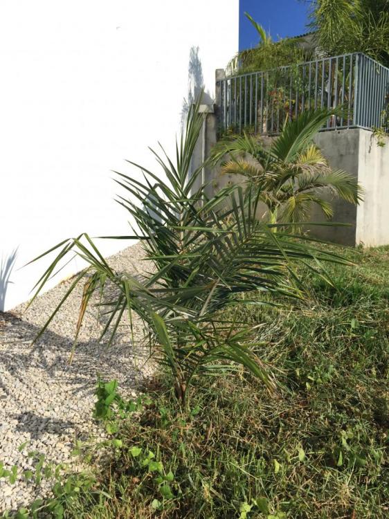 IMG_0370.thumb.JPG.9fe265924f06d8b4f5449