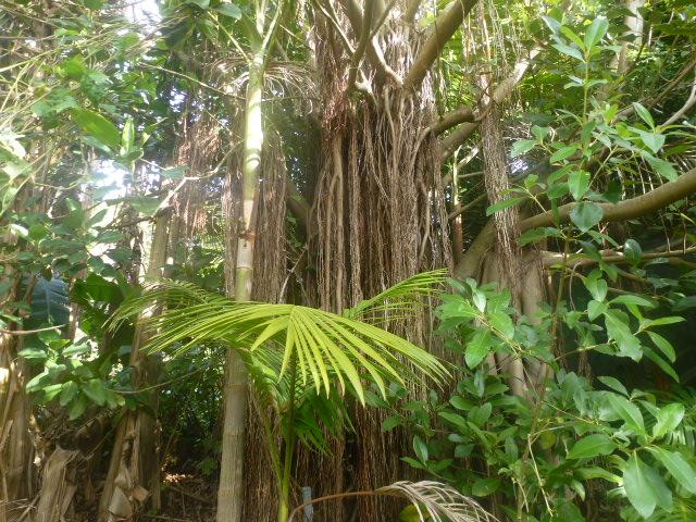 P1060925.JPG.1aa6568984c7da5fd5804d60f24