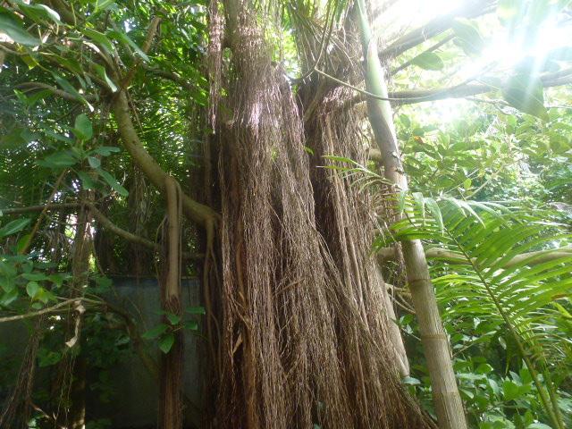 P1060926.JPG.7dcd95ff14d662a838277aed4ab