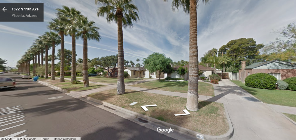 filiferas.thumb.PNG.67e36b226455b6b0f9f0