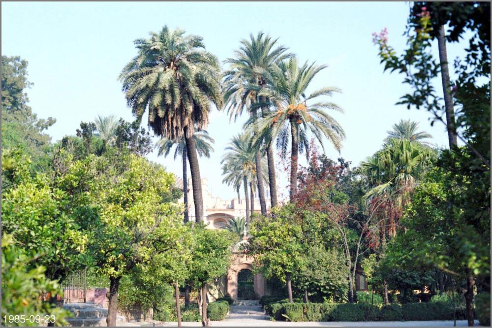 5992f009c1502_PhoenixAlczar1985-09-23.th