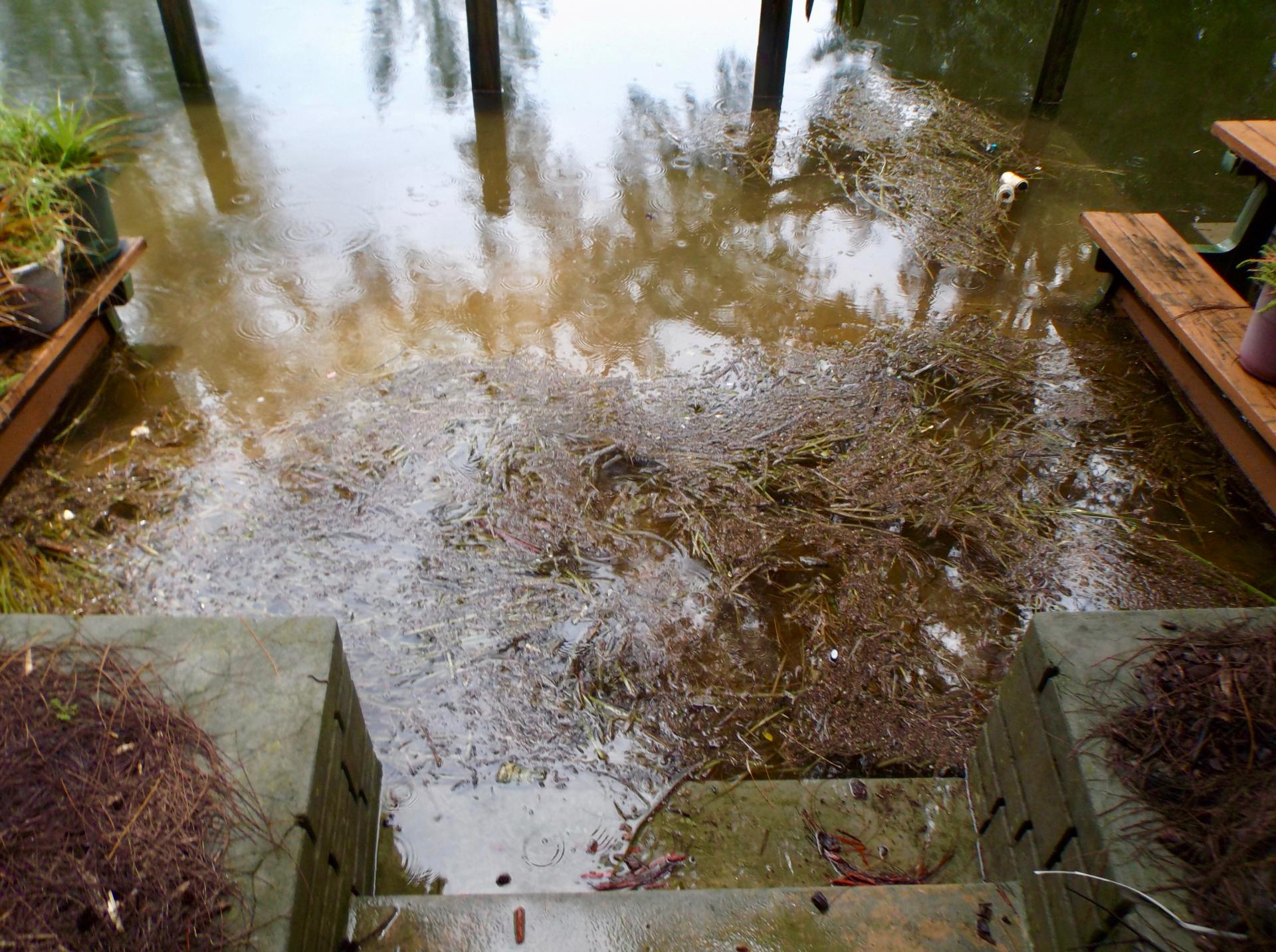 Break in the Deluge - Palmy photos