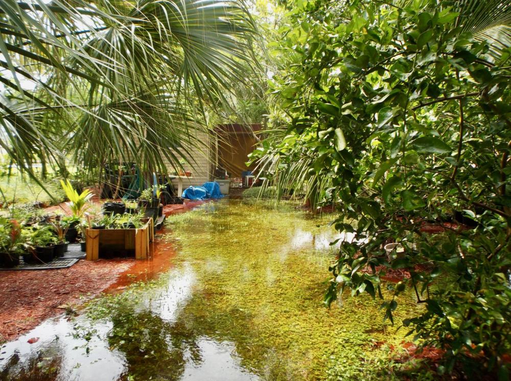 59a07c29db7b8_FloodedGardenLot028-25-17.