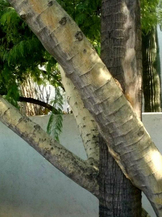 20170903_120034.thumb.jpg.773ee2ff0ccca9