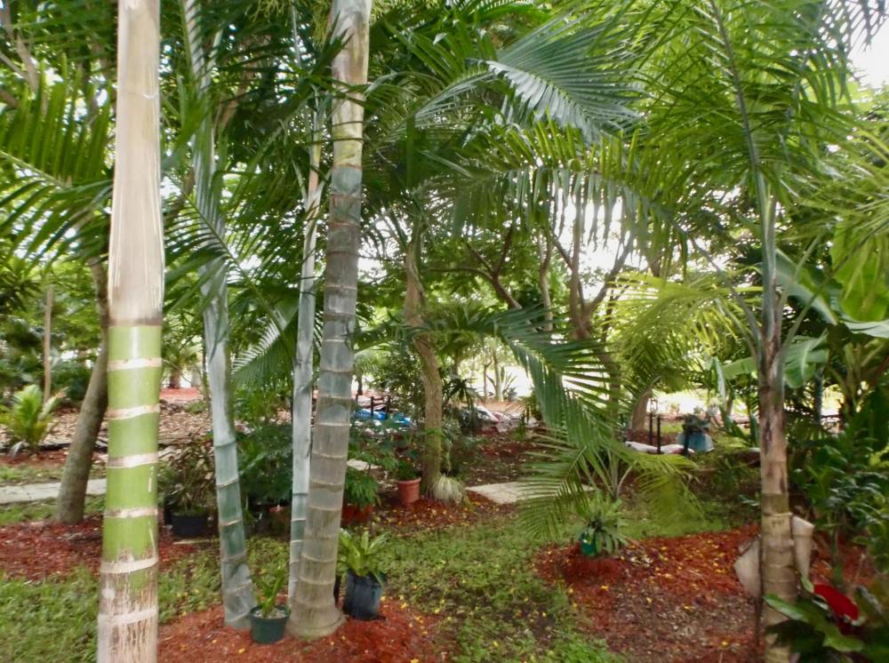 59b551a0048e0_Gardenlot039-9-017.thumb.j