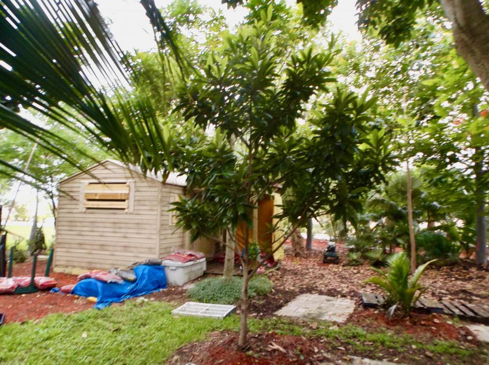 59b551b2ebc6b_Gardenlot059-9-17.thumb.jp