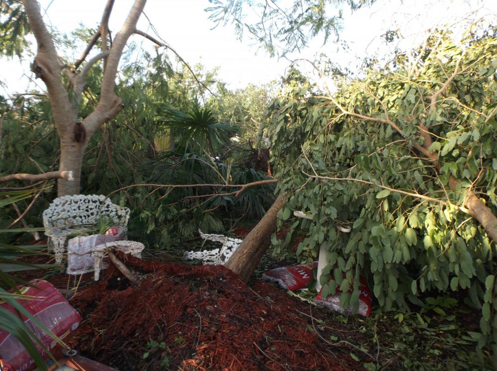 DSCF5413.thumb.JPG.821d9a4f372cc7c3812b5