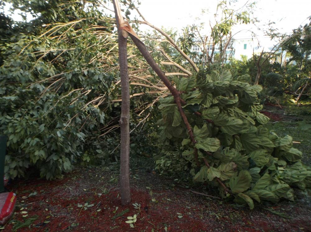 DSCF5430.thumb.JPG.0acf151a1fdf167662c79