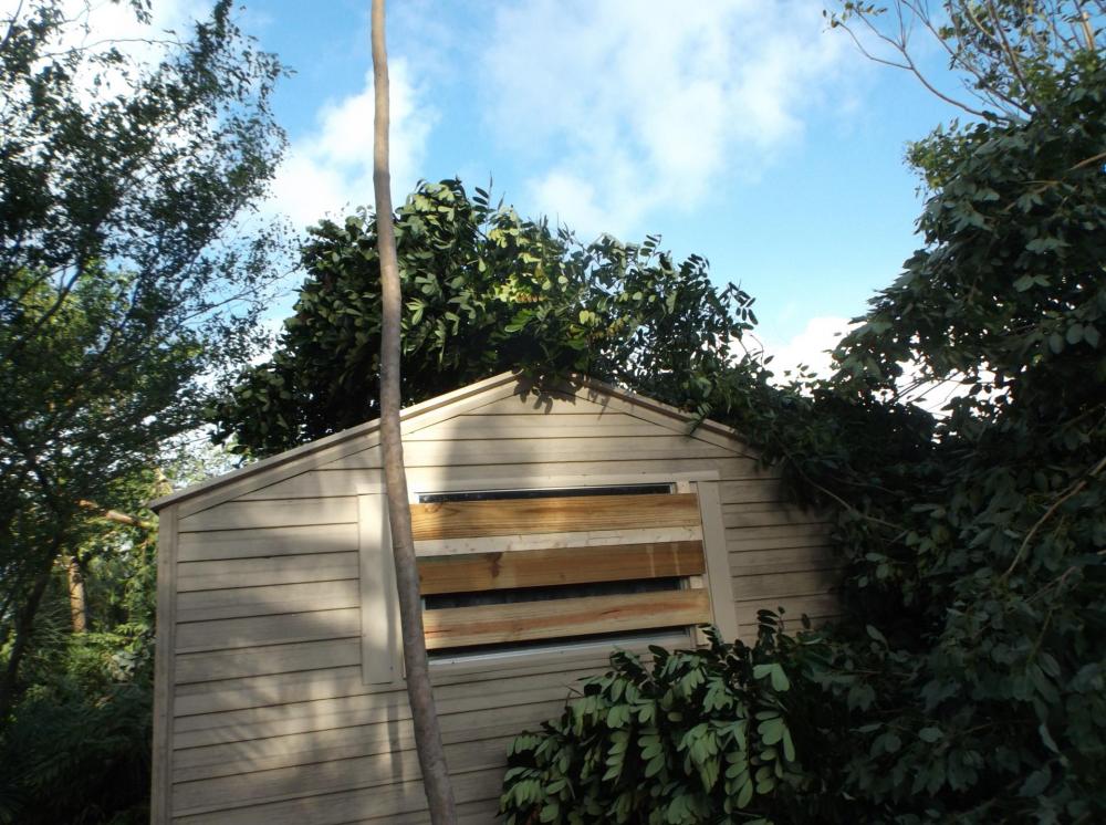 DSCF5432.thumb.JPG.f87919d68067a7a61bcef