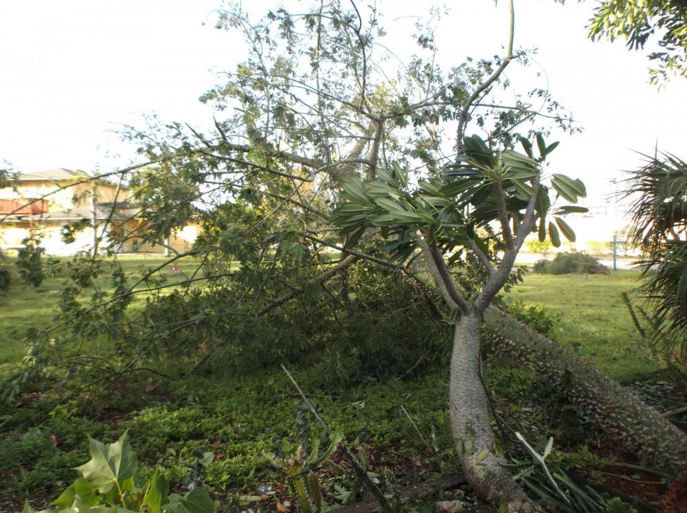 DSCF5433.thumb.JPG.c835f719a5710b1b1cdf3