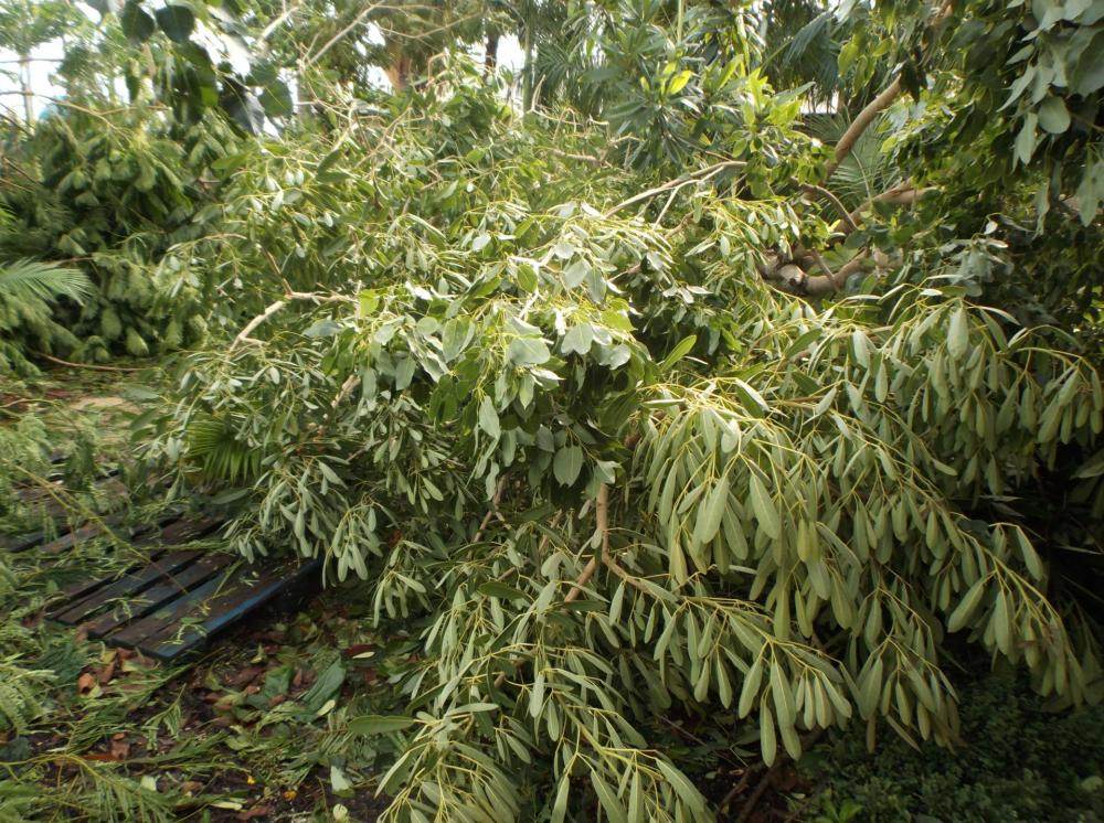 DSCF5446.thumb.JPG.1ebdd1b9541b6e6a92402