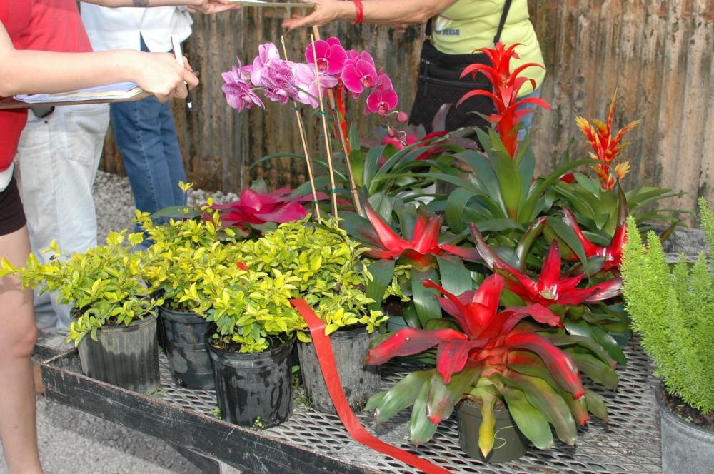 DSC_0233.thumb.JPG.433615d994f70a4d1005c