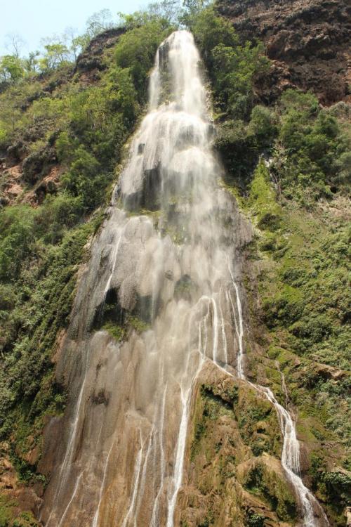 59e3a2f2acd42_Bonito-MS367.thumb.JPG.acc