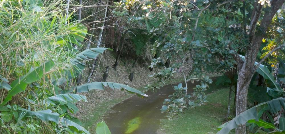 DSCN5208.jpg