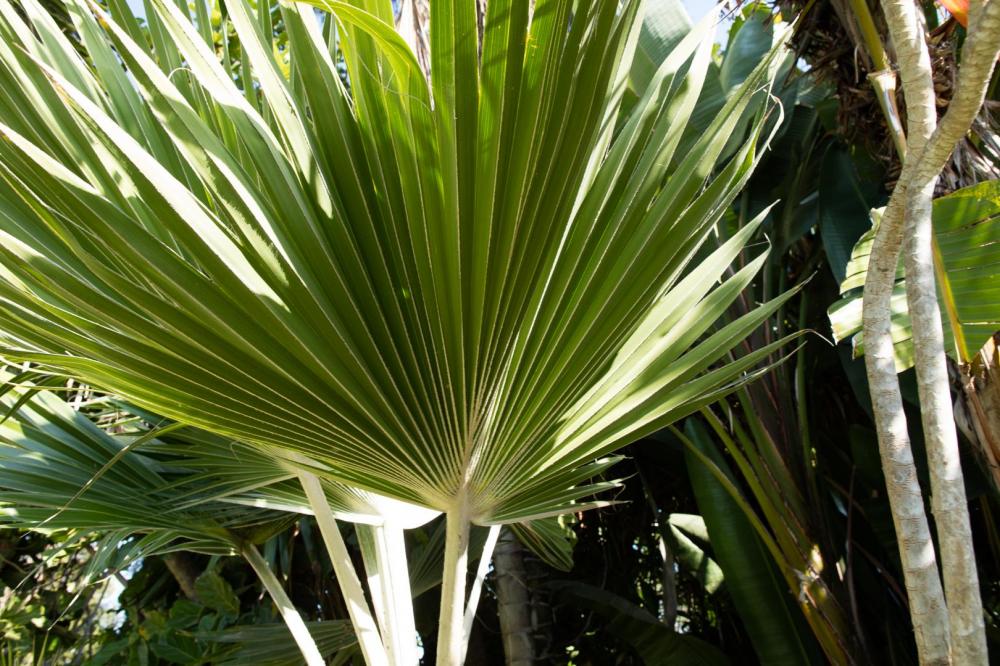 20171028-104A7823.jpg