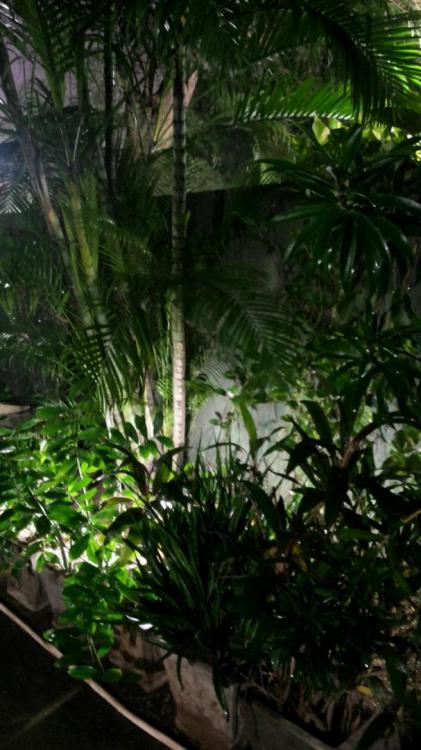 20171112_180104.thumb.jpg.7b14eabad8eb8f