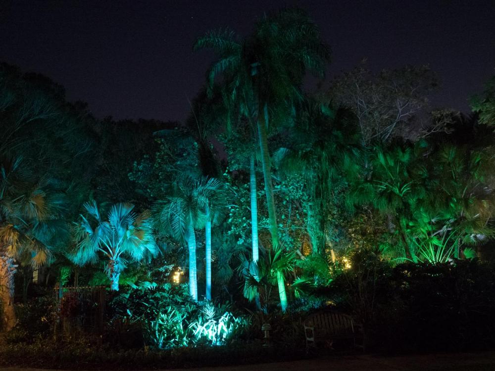 Heathcote palms w changing lites grn (1 of 1).jpg