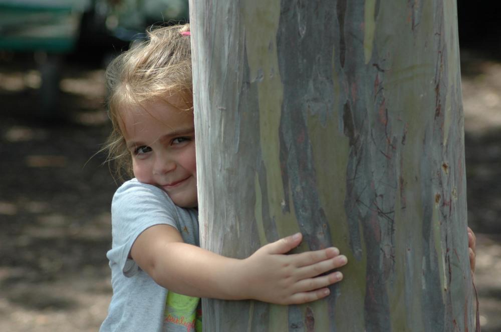 DSC_0047.thumb.JPG.0aa37689a07a84b3b7cb0